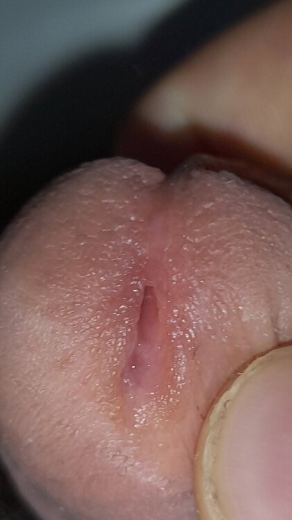 20240928_113014.jpg