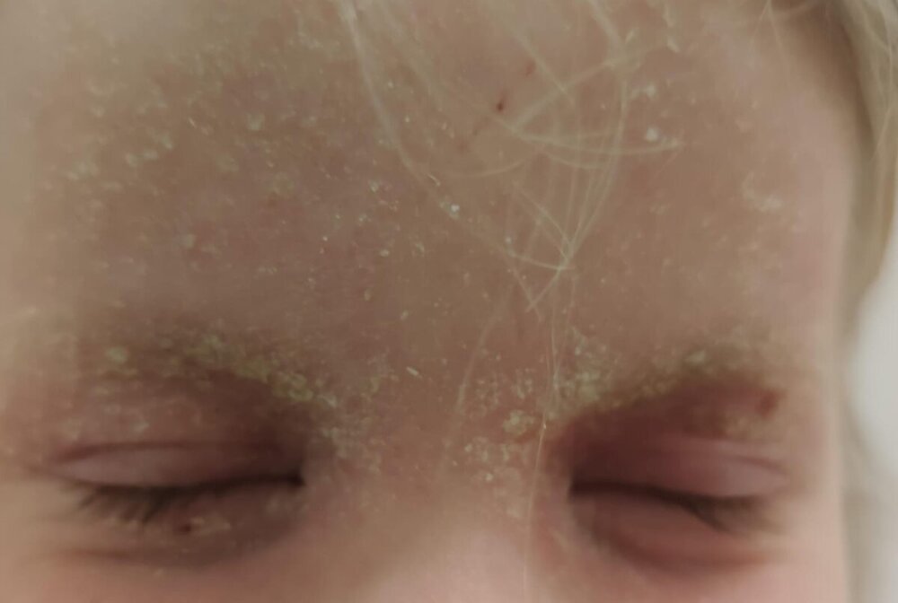 WhatsApp Image 2024-09-22 at 22.17.50.jpeg