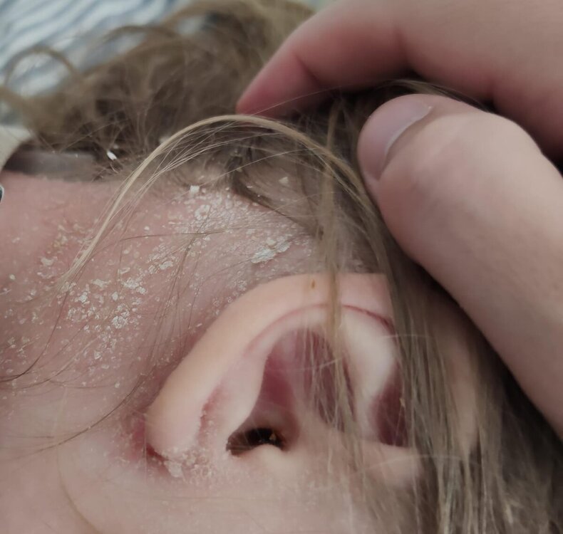 WhatsApp Image 2024-09-22 at 22.20.03.jpeg