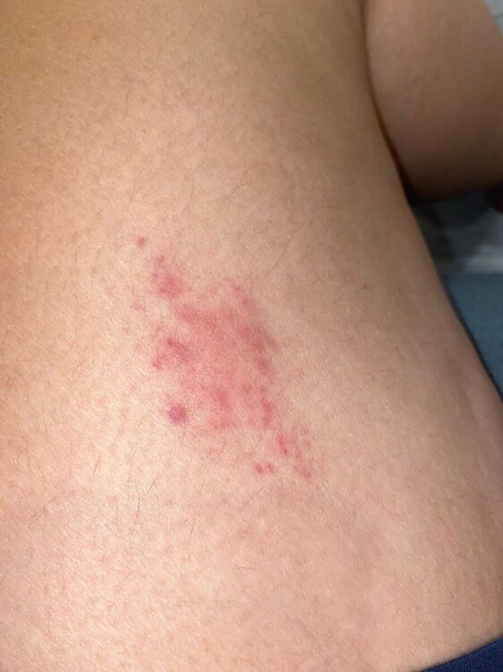 IMG-20240831-WA0009.jpg