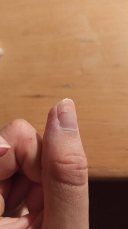 IMG-20240911-WA0042.jpeg