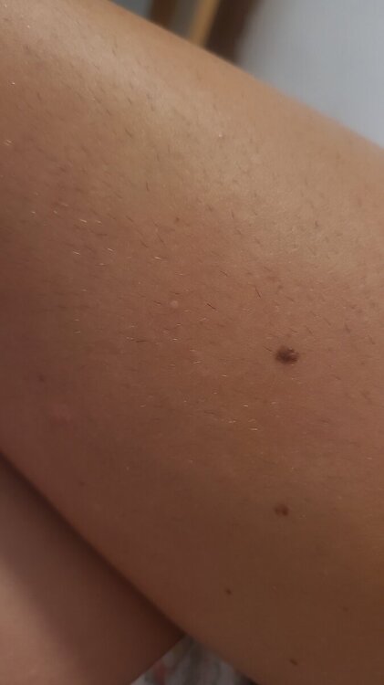 IMG-20240916-WA0052.thumb.jpeg.2301035354f0947b3223c0e5ed17bf79.jpeg