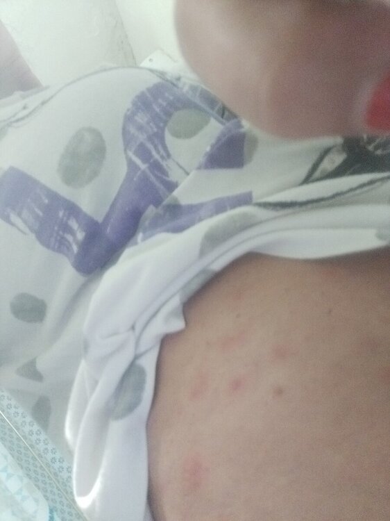 IMG-20240917-WA0025.jpeg
