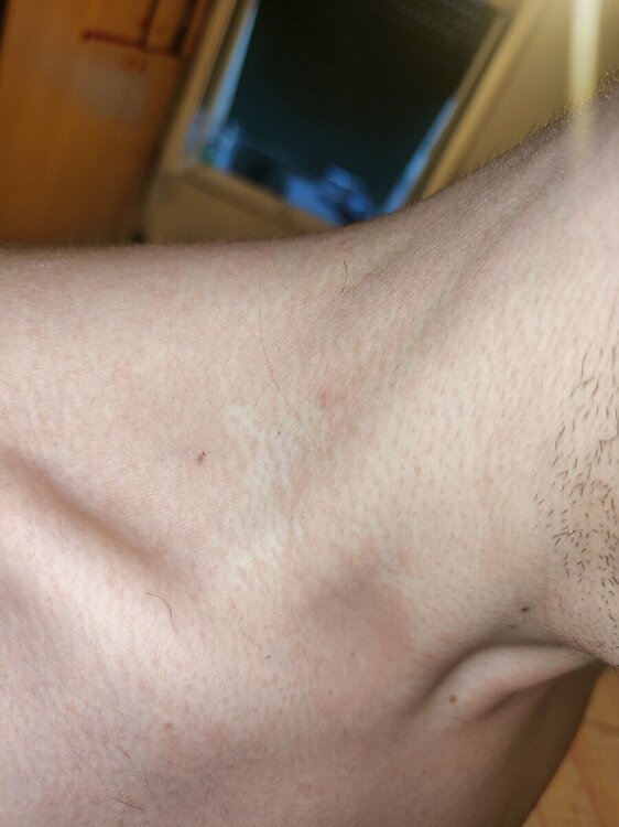 IMG20240908192211.jpg