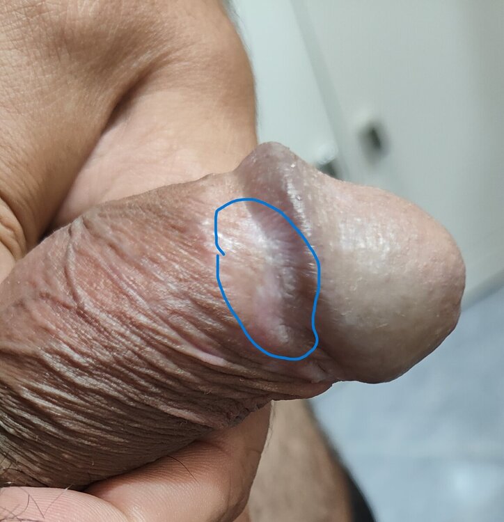IMG20240910235722.jpg