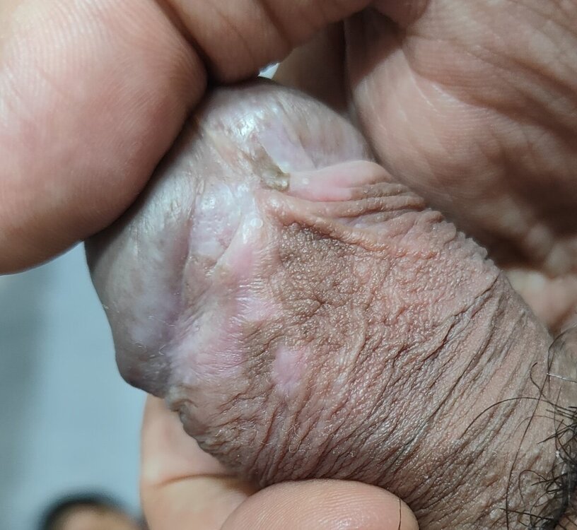 IMG20240910235821.jpg