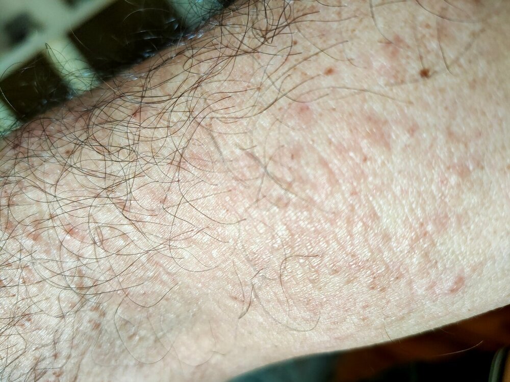 IMG20240922144900.jpg
