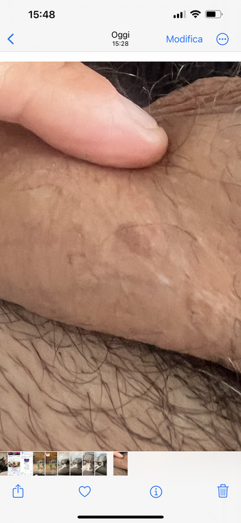 IMG_0037.png
