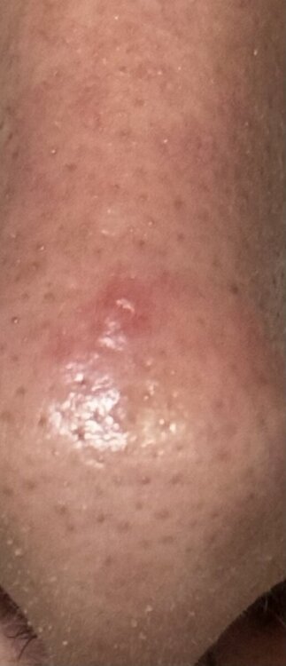 IMG_1022.thumb.jpeg.ac2368d91977e09709ae5853b163fefa.jpeg