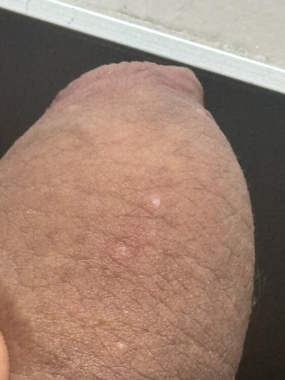 IMG_1041.thumb.jpeg.0f4fb189ae649a81dc39dae5b8ca8ae8.jpeg