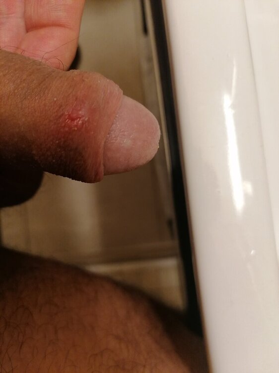 IMG_20240906_145848.jpg