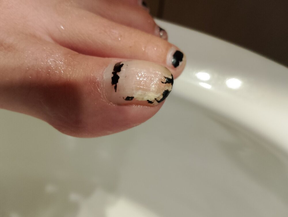 IMG_20240916_191448.jpg
