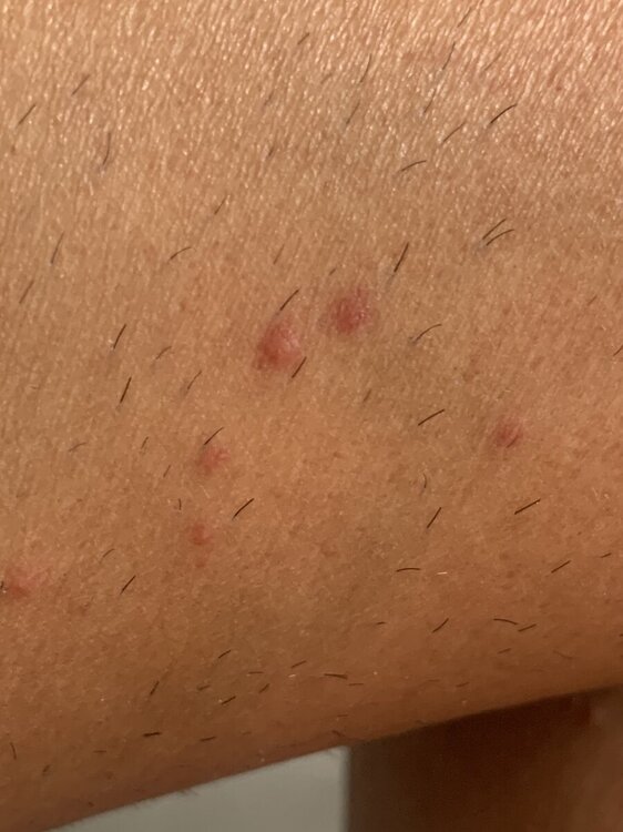 IMG_2656.jpeg