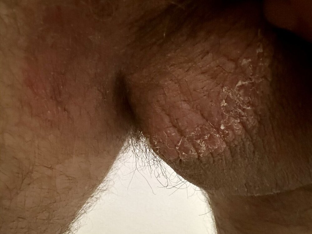 IMG_8802-compressed.jpeg