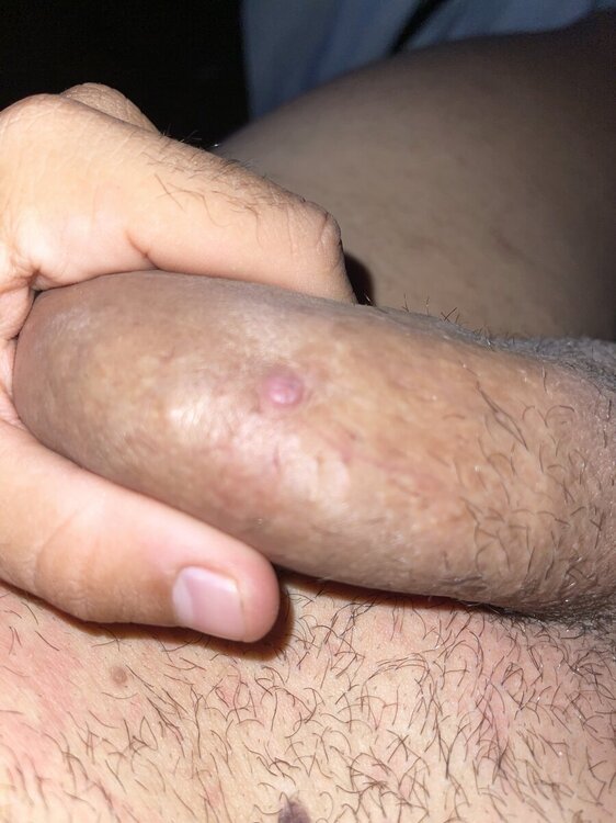 image.jpg
