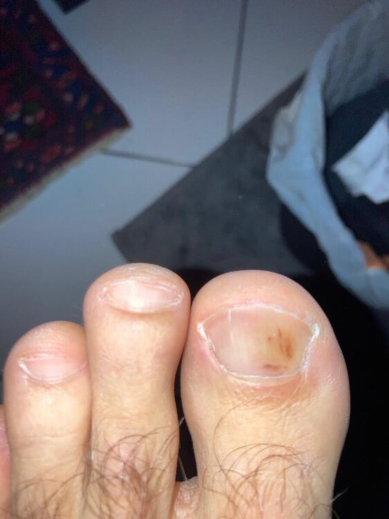 0.thumb.jpg.4e015a834cc055645919333ee873823f.jpg