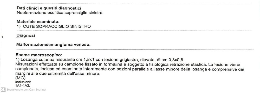 Referto 11.jpg
