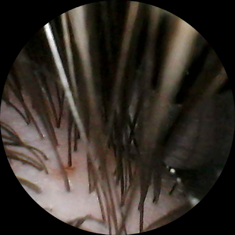 1728227235782354.png