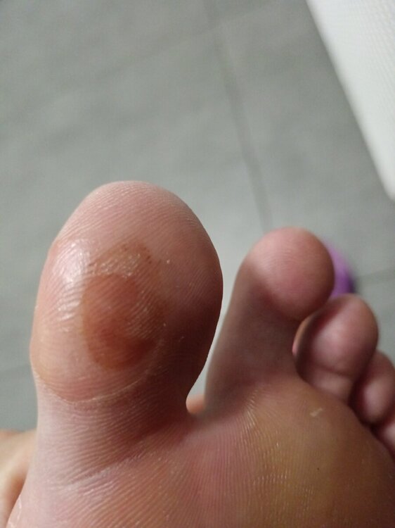 17285134330917497387656876986535.jpg