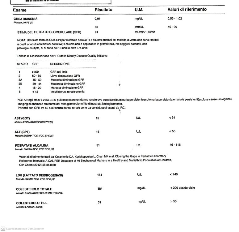 Referto 14.jpg