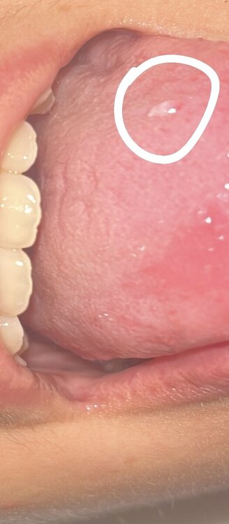 D23E2A50-CEC9-4F17-851F-7F608B0DADEA 2.jpg