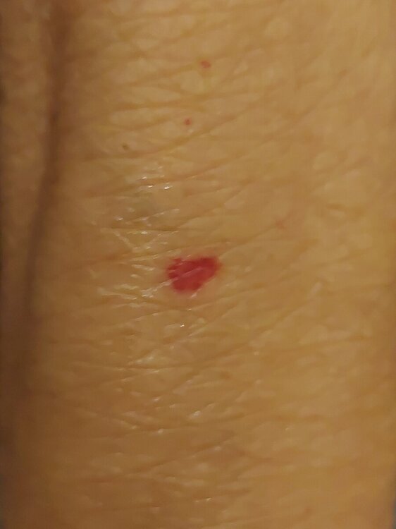 20241002_194700.jpg