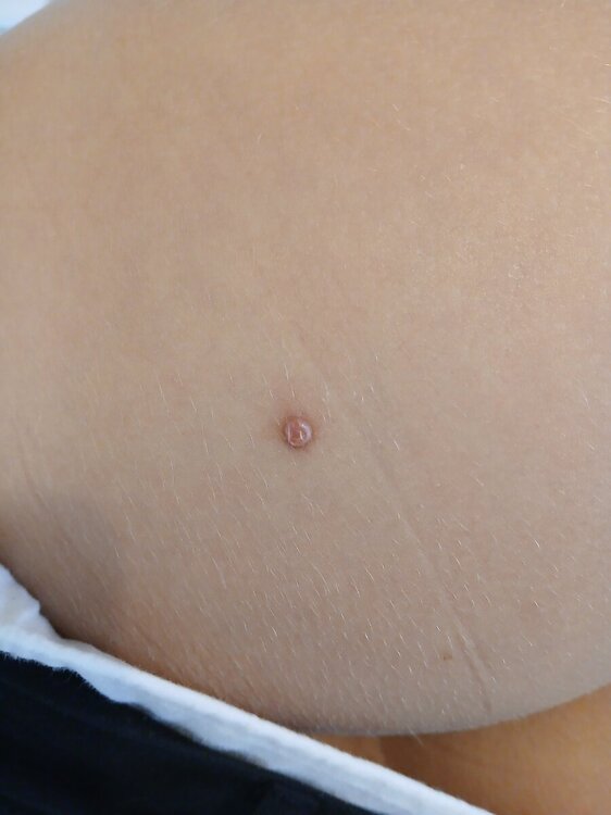 20241003_125701.jpg