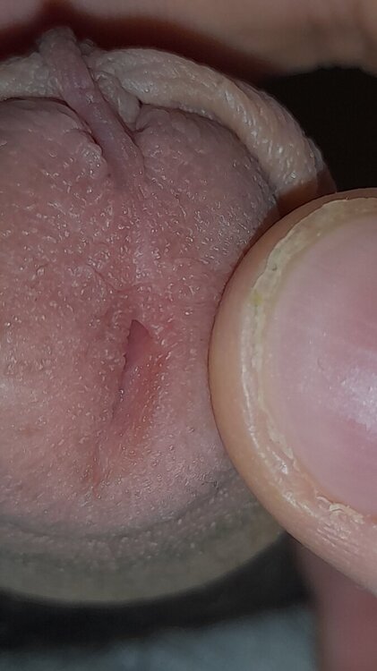 20241006_141911.jpg