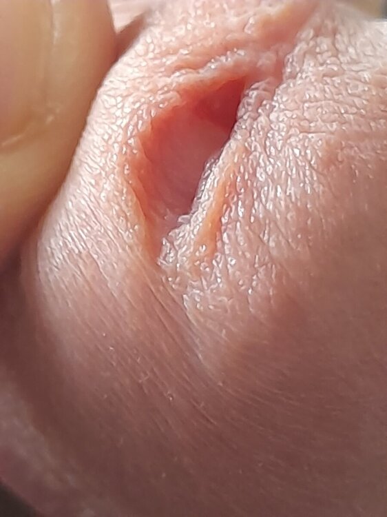 20241007_112528.jpg