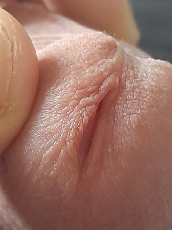 20241007_112532.jpg