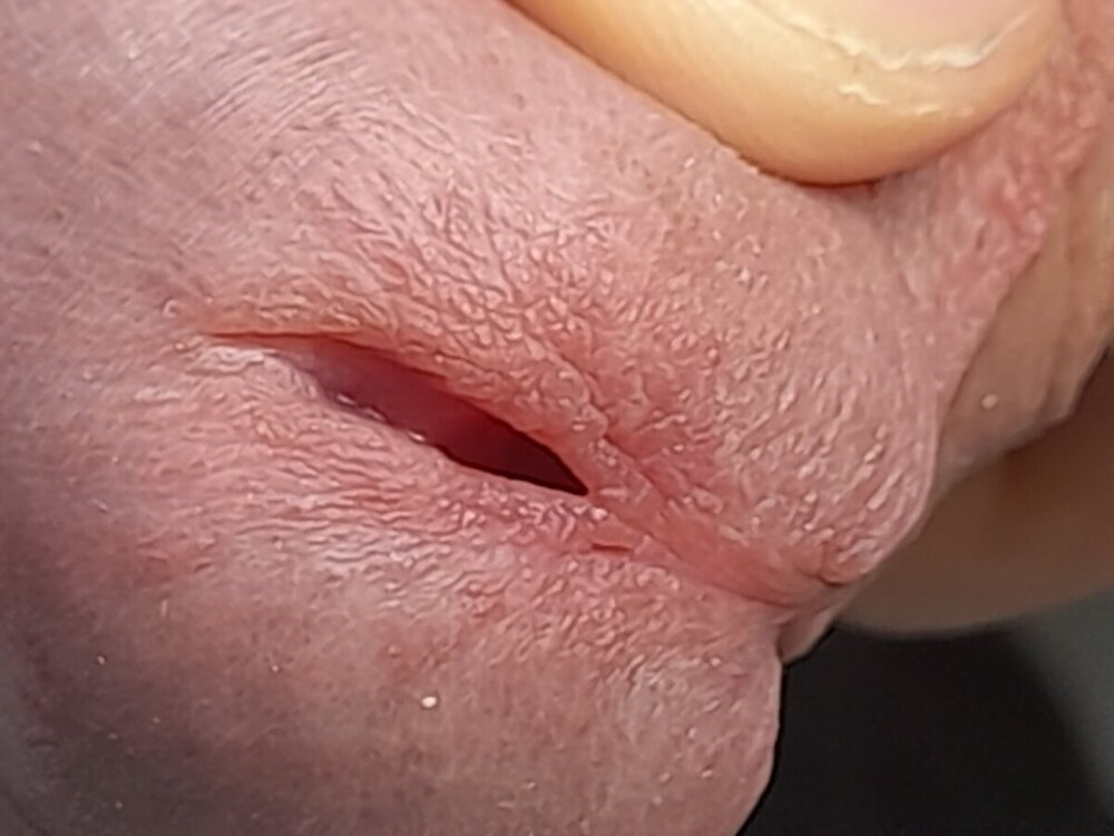 20241007_115947.jpg