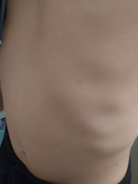 20241017_064713.jpg