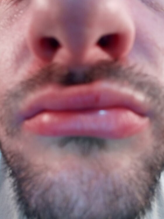 20241017_191141.jpg