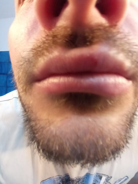 20241017_191254.jpg