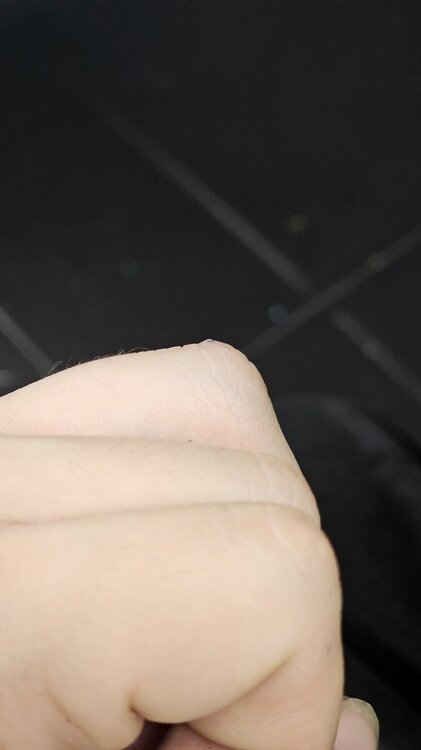 20241018_150850.jpg