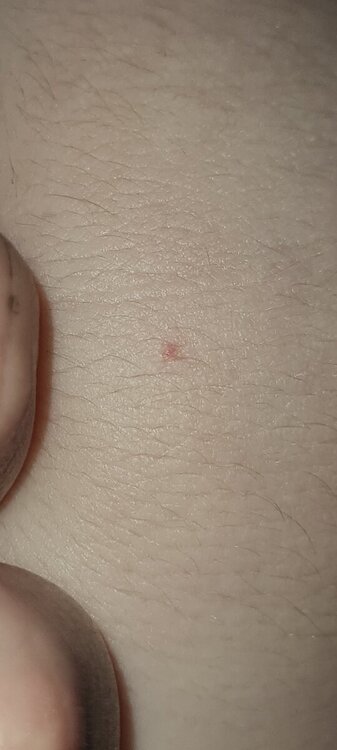 20241019_134152.jpg