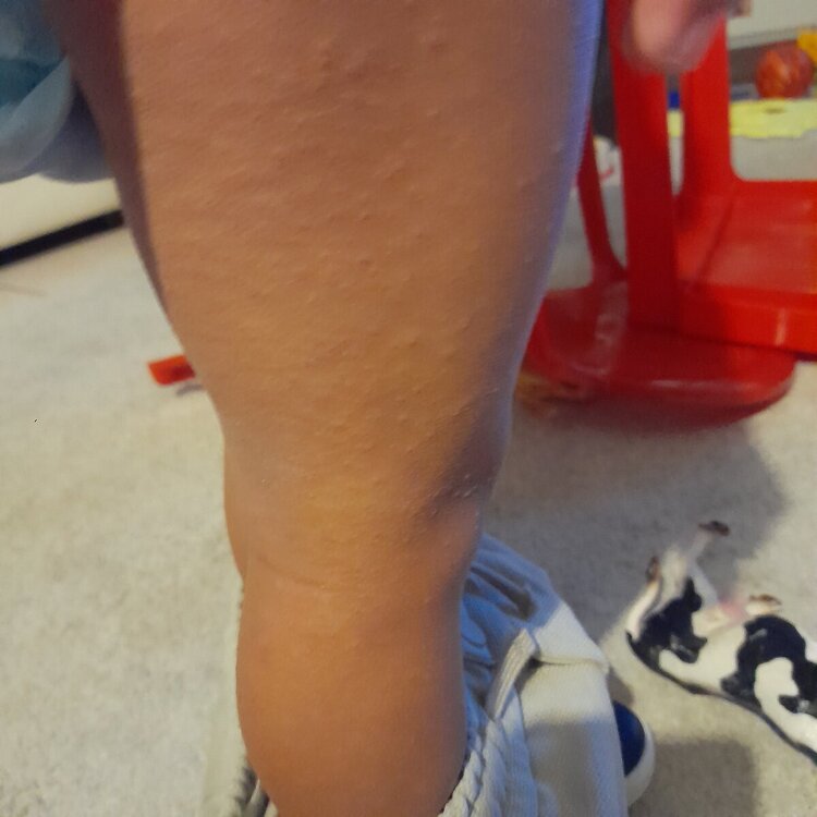 20241023_182226.jpg