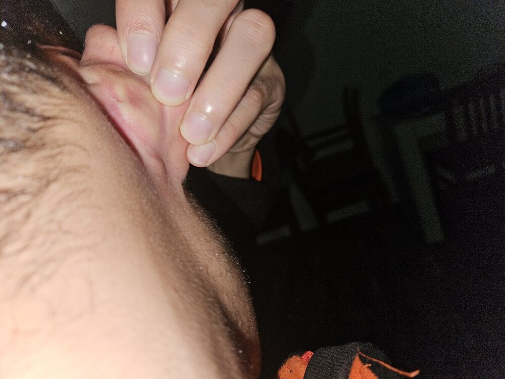20241024_092655.jpg