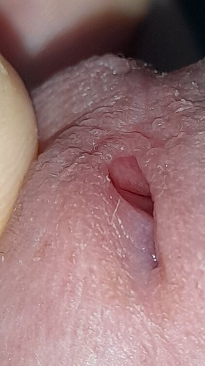 20241025_095144.jpg