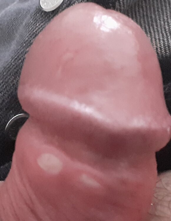 20241031_143113.jpg