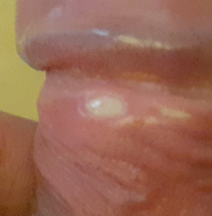 20241031_144845.jpg