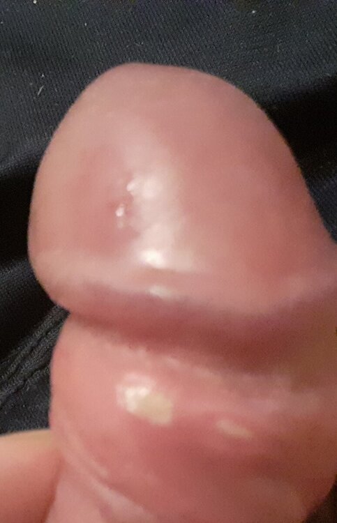 20241031_201921.jpg