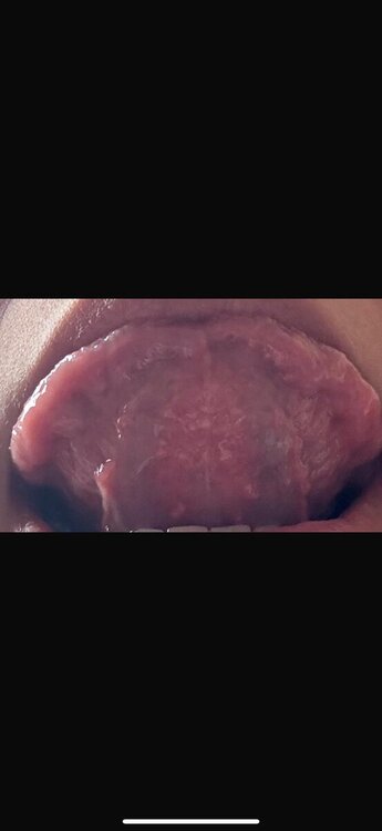 259f2d25-26fa-4b8c-95bc-62b174f742a3.jpeg
