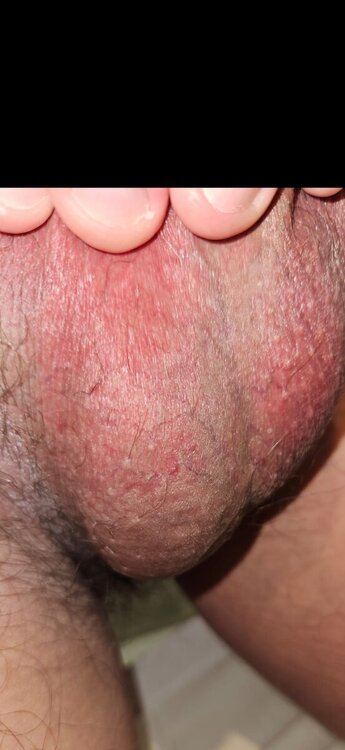 WhatsApp Image 2024-10-25 at 20.09.40 (1).jpeg