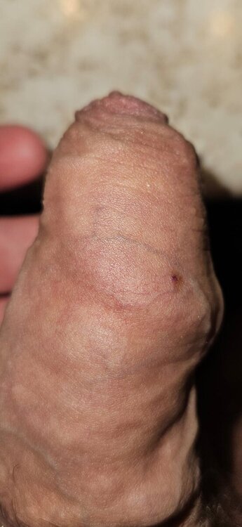 WhatsApp Image 2024-10-25 at 20.09.40 (2).jpeg