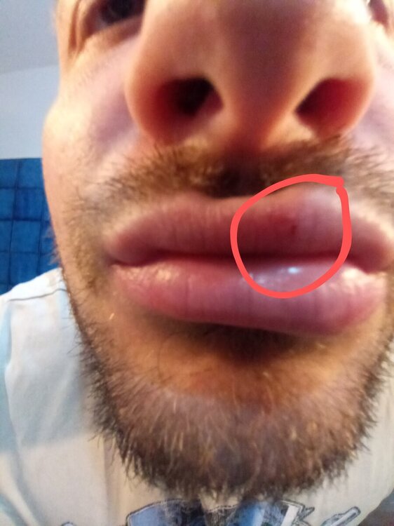 20241017_191304~2.jpg