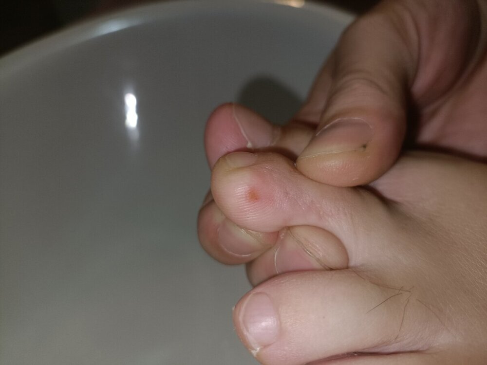 IMG20241006220136.thumb.jpg.52a027dd581114a379d4bba632815eba.jpg