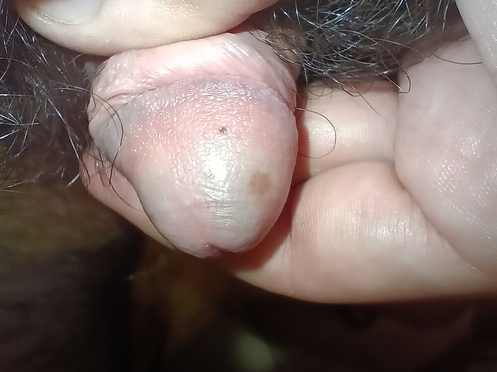 IMG20241008013707.jpg