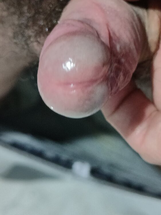 IMG20241016230007.jpg