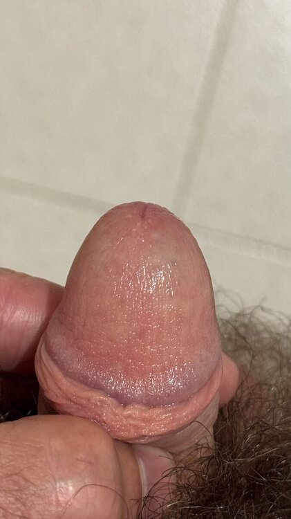 IMG_0028.thumb.jpeg.8e8a2797402ac61d600785a6d4698a43.jpeg